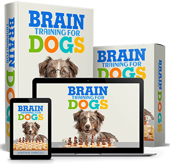 Brain Training for Dogs by Adrienne Farricelli (CPDT-KA Certified Masterclass)