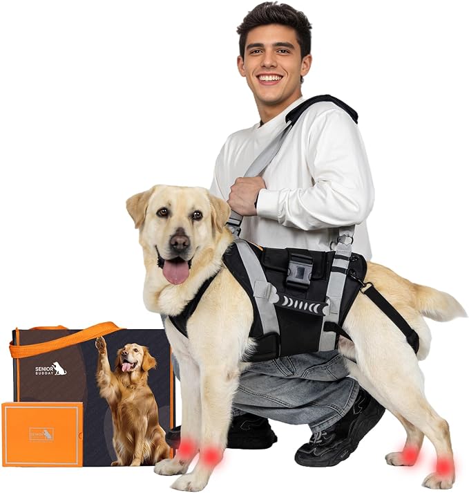 Full-Body Heavy-Duty Orthopedic Dog Lift & Recovery Support Harness (XL)